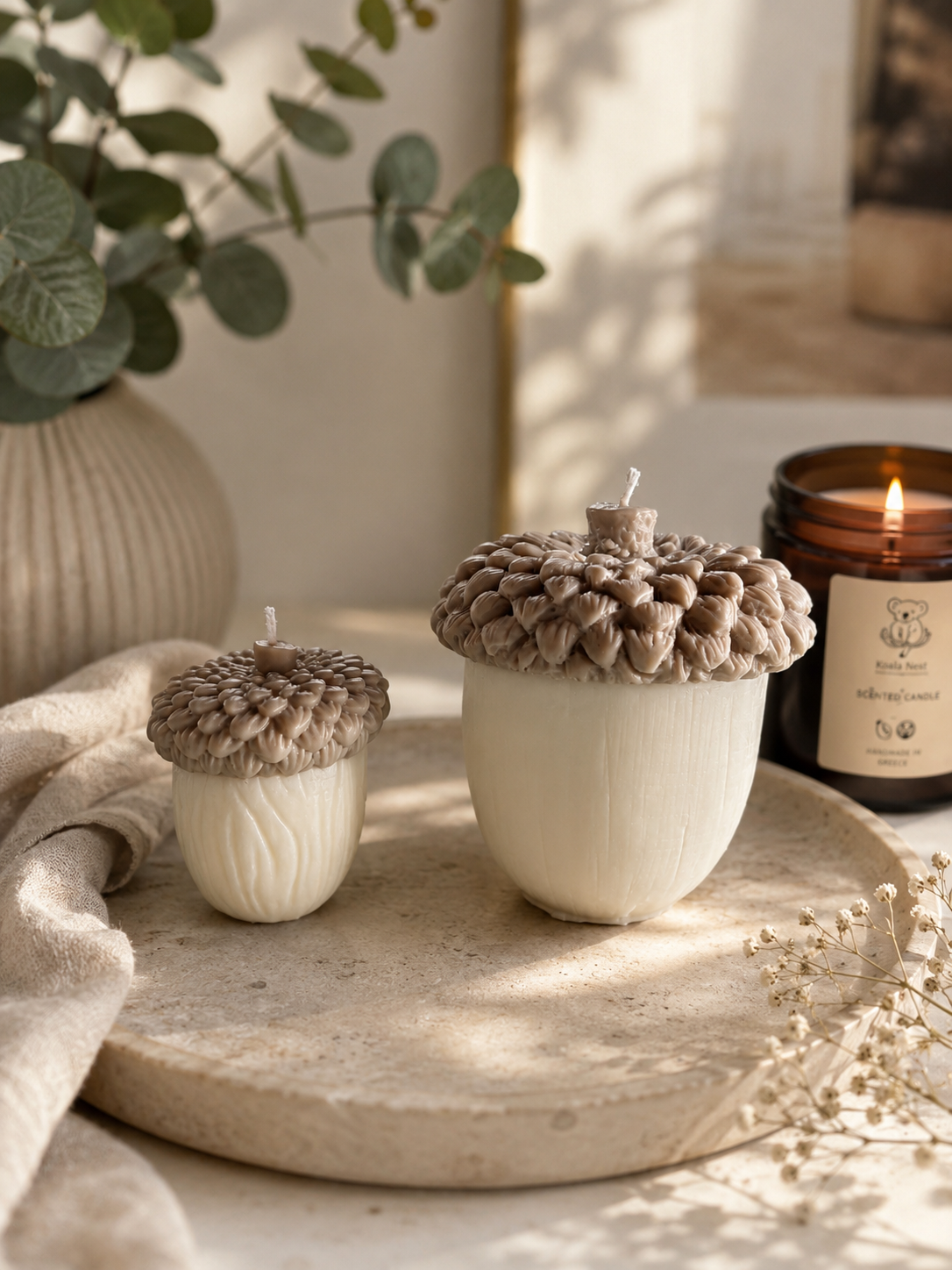 Acorn Grove
